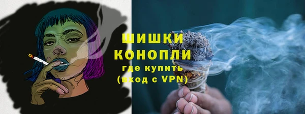 PSILOCYBIN Белокуриха